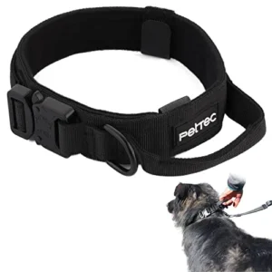 COLLAR PARA PERROS PEQUEÑOS DE NEOPRENO