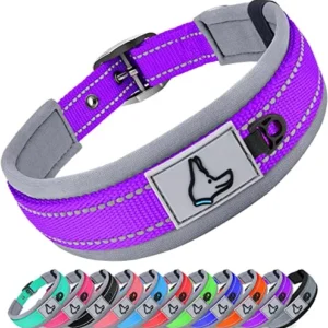 RESISTENTE COLLAR PERRO PEQUEÑO