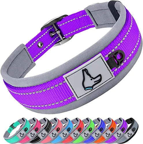 RESISTENTE COLLAR PERRO PEQUEÑO