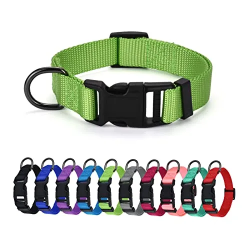 COLLAR CLÁSICO DE PERRO TOY AJUSTABLE