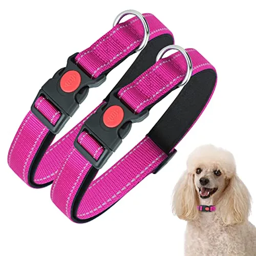 2 COLLARES DE ENTRENAMIENTO EN ROSA PERRO PEQUEÑO