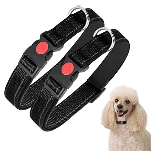 2 COLLARES DE ENTRENAMIENTO PERROS PEQUEÑOS