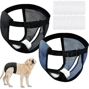 2 Piezas Braga Perro Celo Hembra, XL Bragas Perras