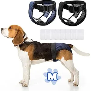 2 Piezas Bragas Perras Menstruales, Pañal Perro He