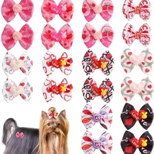 20 LAZOS PELO PARA CACHORROS Y PERROS TOY