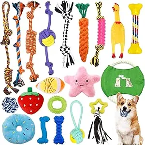 20 piezas de juguete para perros,Juguete para mast