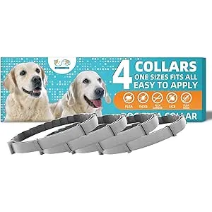 4 Collar contra Pulgas y Garrapatas para Perros y