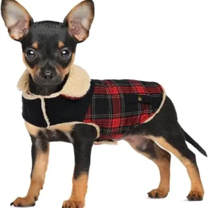 ABRIGO CHIHUAHUA Y TECKEL XS