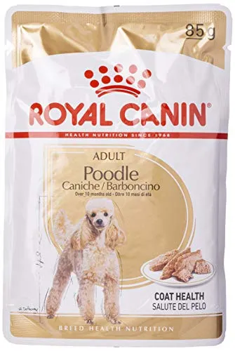 ALIMENTO HÚMEDO CANICHES ADULTOS Y ANCIANOS - PACK ROYAL CANIN POODLE ADULT