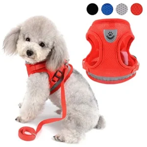 ARNÉS AJUSTABLE PARA CACHORROS O PERROS MUY PEQUEÑOS