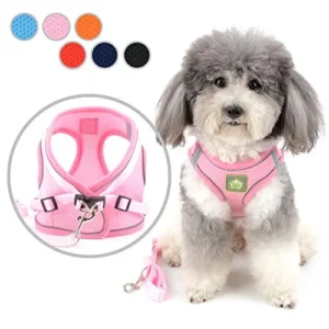 ARNÉS PARA PERRO PEQUEÑO ANTITIRONES