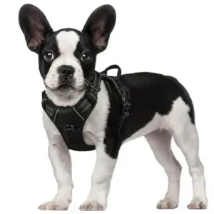 ARNESES PARA PERROS PEQUEÑOS
