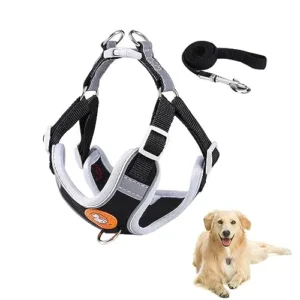 ARNÉS PERRO TOY