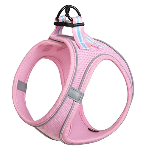 ARNÉS ROSA MASCOTA PEQUEÑA 2XS
