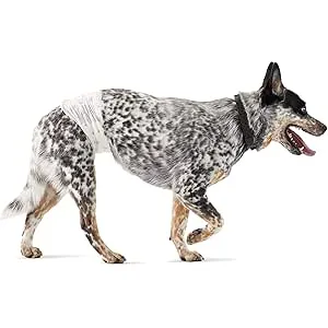 Amazon Basics Pañales desechables para perros mach