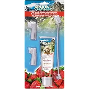 Arquivet Set Dental fresa - cepillos pasta dentríf