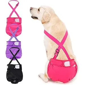 Avont 3 Piezas Pañales Reutilizables para Perras,