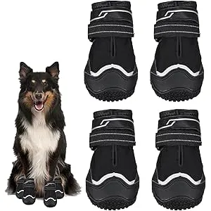 Avvrel Zapatos para Perros, 4 Piezas Botas Perros