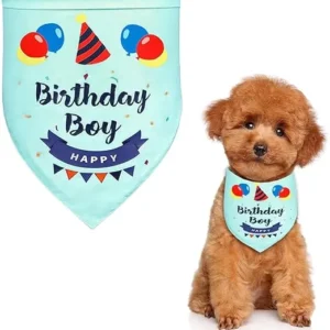 BANDANA DE CUMPLEAÑOS PARA PERRO