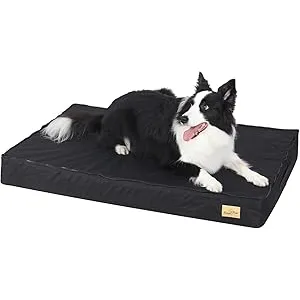 BingoPaw Cama Perro Grande Ortopedica 92x56x8cm Co