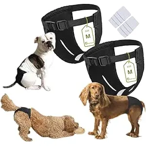 Braga Perro Celo Hembra.Bragas Perras Menstruales,