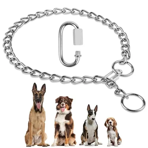 CADENA DE COLLAR DE ENTRENAMIENTO PARA PERROS