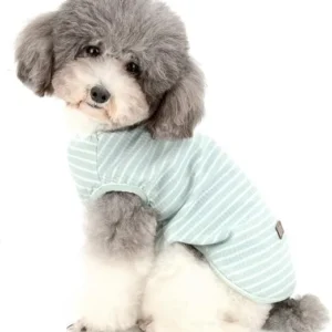 CAMISETA BÁSICA DE ALGODÓN PERROS TALLA S