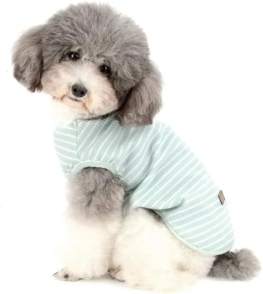 CAMISETA BÁSICA DE ALGODÓN PERROS TALLA S