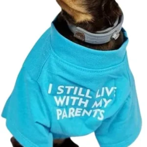 CAMISETA CON TEXTO - PERROS TALLA S - AZUL CLARO