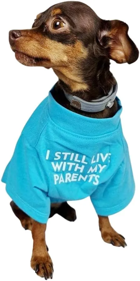 CAMISETA CON TEXTO - PERROS TALLA S - AZUL CLARO
