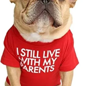 CAMISETA CON TEXTO - PERROS TALLA S - ROJA