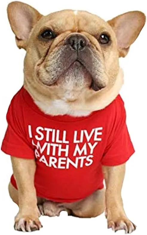 CAMISETA CON TEXTO - PERROS TALLA S - ROJA