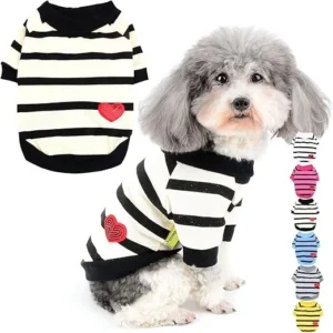 CAMISETA MANGA CORTA PERROS MINI TOY