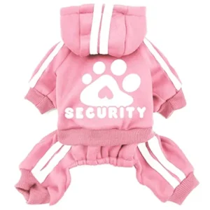 CHÁNDAL PARA PERROS PEQUEÑOS Y MEDIANOS