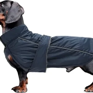 CHUBASQUERO APTO PARA PERRO SALCHICHA - AZUL