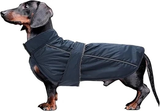 CHUBASQUERO APTO PARA PERRO SALCHICHA - AZUL