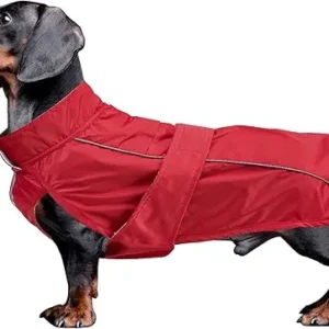 CHUBASQUERO APTO PARA PERRO SALCHICHA - ROJO