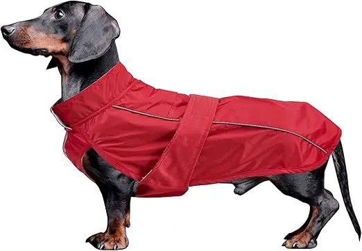 CHUBASQUERO APTO PARA PERRO SALCHICHA - ROJO