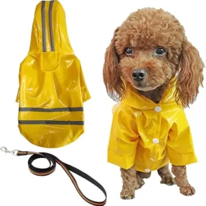 CHUBASQUERO DE PERRO PEQUEÑO CON CAPUCHA