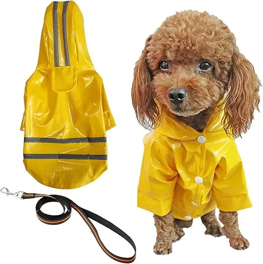 CHUBASQUERO DE PERRO PEQUEÑO CON CAPUCHA