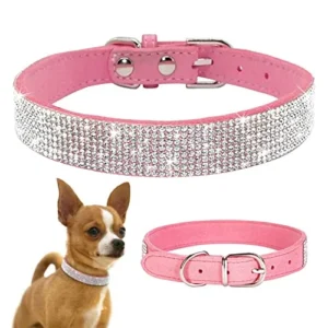 COLLAR DE CUERO BRILLANTE PARA CACHORROS Y CHIHUAHUAS