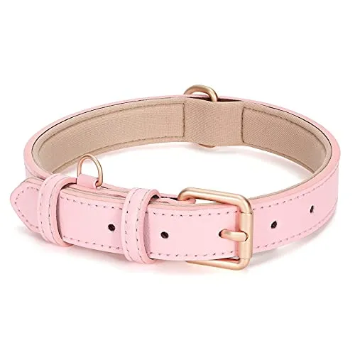COLLAR DE CUERO PARA PERRO PEQUEÑO
