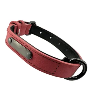 COLLAR DE PERRO DE CUERO EN PIEL MASCOTAS XS
