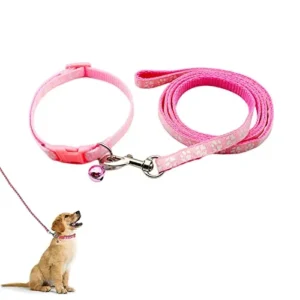 COLLAR DE PERRO PEQUEÑO CON CORREA