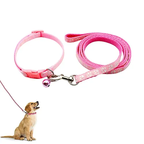COLLAR DE PERRO PEQUEÑO CON CORREA