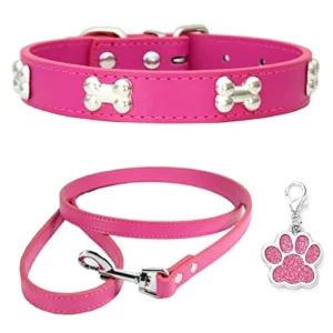COLLAR DE PERRO ROSA CON CORREA TALLA XS