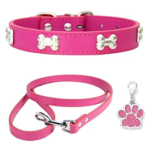 COLLAR DE PERRO ROSA CON CORREA TALLA XS