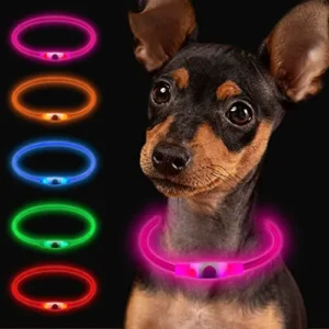 COLLAR LUMINOSO LED PARA PERRITO