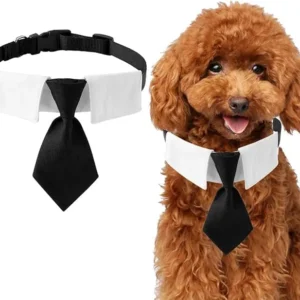 COLLAR PAJARITA DESMONTABLE PARA PERROS PEQUEÑOS