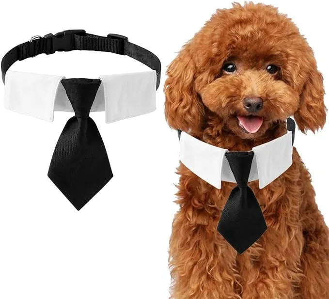 COLLAR PAJARITA DESMONTABLE PARA PERROS PEQUEÑOS